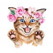 /album/overigen/cat-5-jpg/